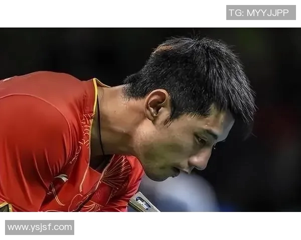 张继科与周雨2015年巅峰对决回顾乒乓球赛场的精彩瞬间与激烈较量